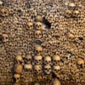 Meet your Posher, Gretchen